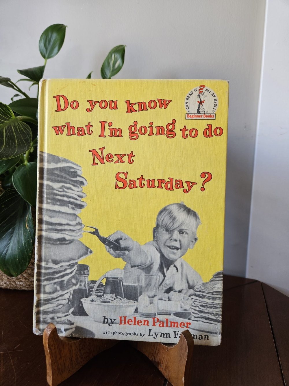 Do You Know What I'm Going to Do Next Saturday? Vintage Hardcover